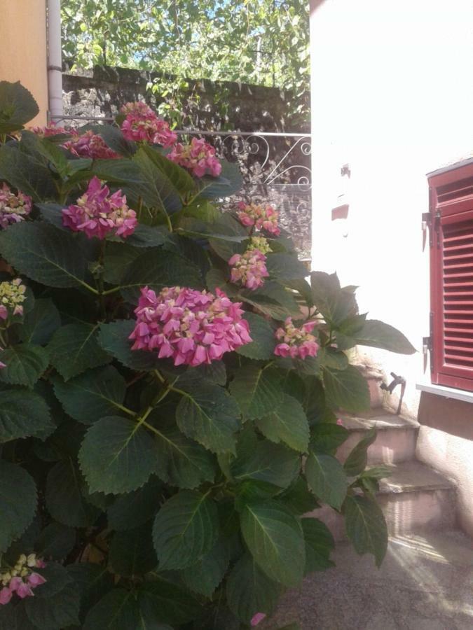 Monolocale Per Coppia Apartment Carrodano Inferiore Exterior photo